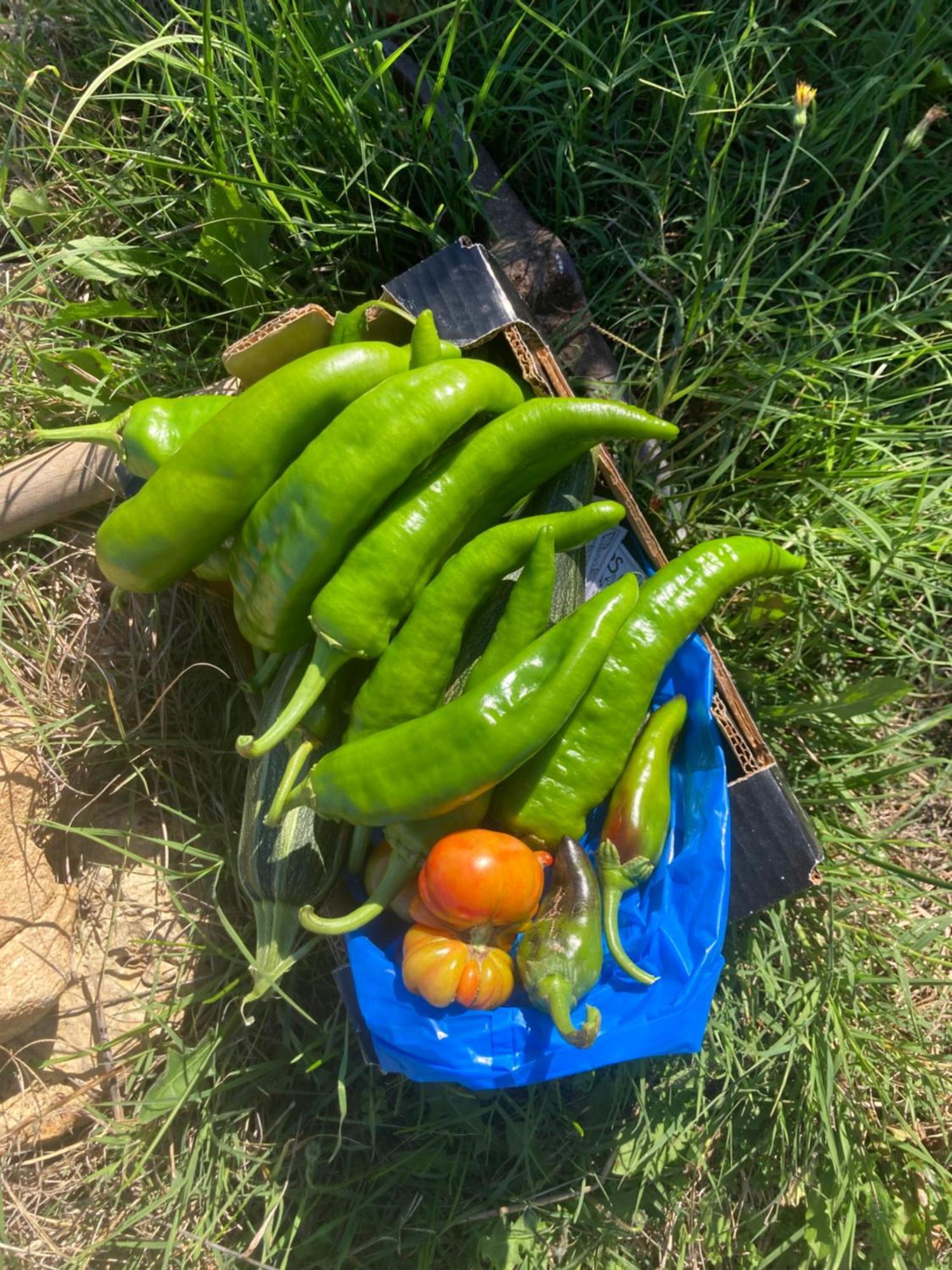Kokkini Peach House Διαμέρισμα Kokkínion Εξωτερικό φωτογραφία